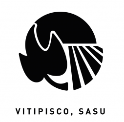 Vitipisco